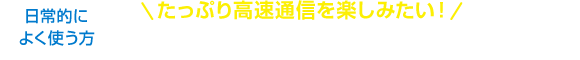 たっぷり高速通信を楽しみたい！完全定額プラン