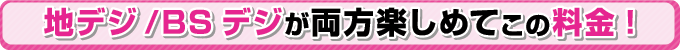 地デジ/BSデジが両方楽しめてこの料金
